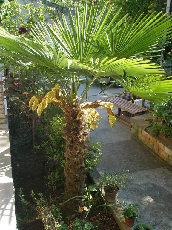 Apartment Rojnic Pula Ngoại thất bức ảnh